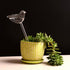 Self Watering Bulbs (Set of 2)